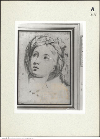 Vorderseite von bh438332_recto