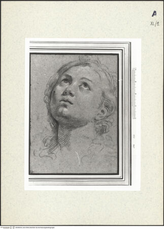 Vorderseite von bh438334_recto