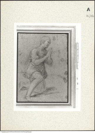 Vorderseite von bh438335_recto