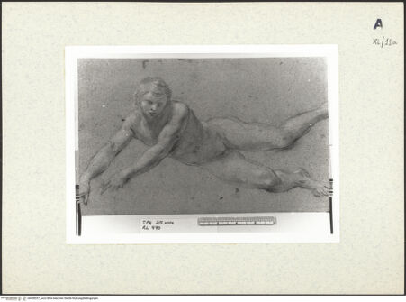 Vorderseite von bh438337_recto