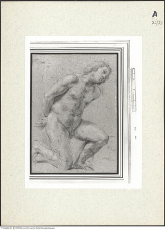 Vorderseite von bh438343_recto