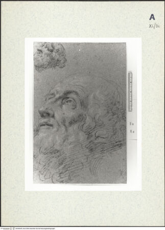 Vorderseite von bh438349_recto