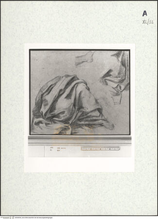 Vorderseite von bh438356_recto