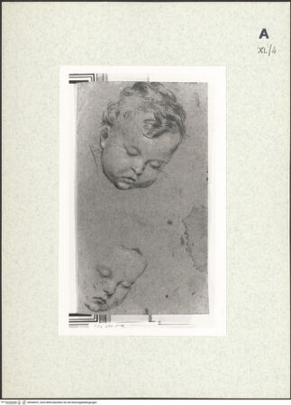 Vorderseite von bh438357_recto