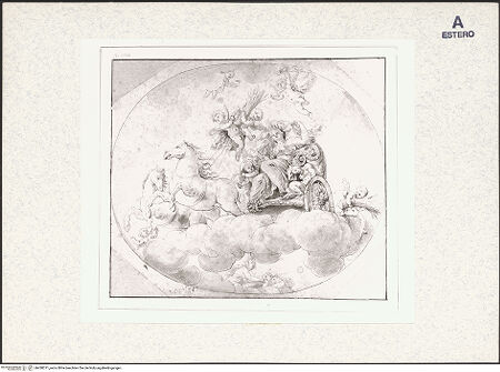 Vorderseite von bh438371_recto