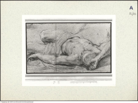 Vorderseite von bh438414_recto