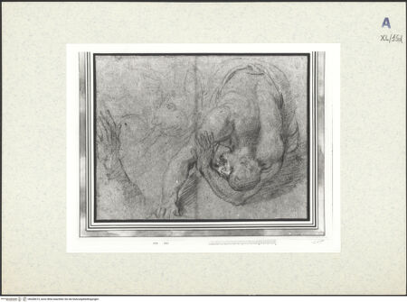 Vorderseite von bh438415_recto