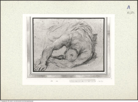 Vorderseite von bh438417_recto