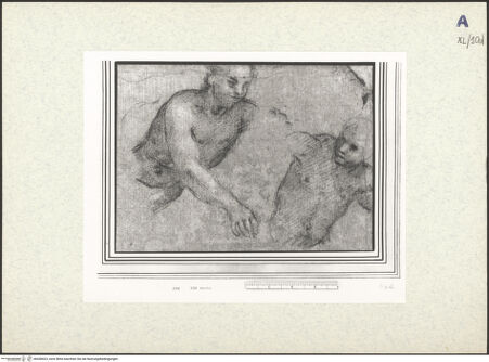 Vorderseite von bh438423_recto