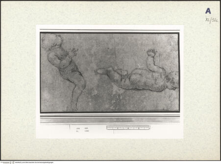 Vorderseite von bh438425_recto