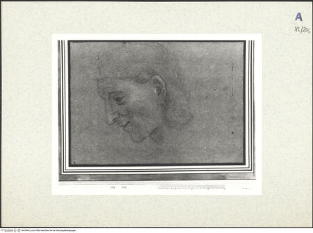 Vorderseite von bh438432_recto