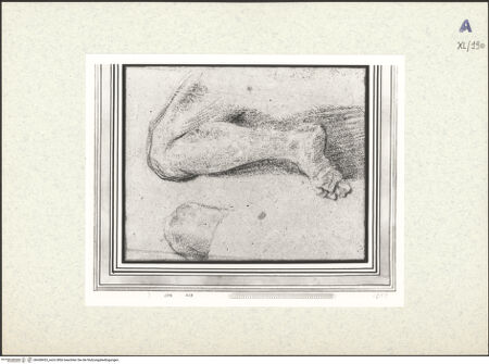 Vorderseite von bh438433_recto