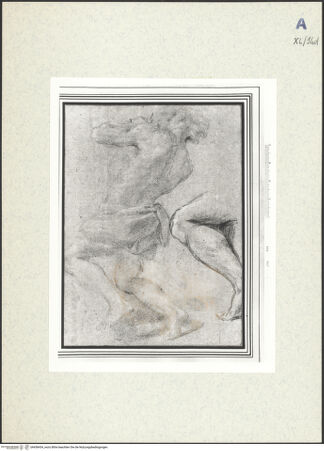 Vorderseite von bh438434_recto