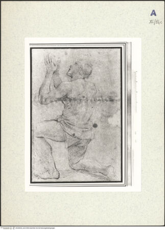 Vorderseite von bh438436_recto