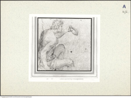 Vorderseite von bh438437_recto