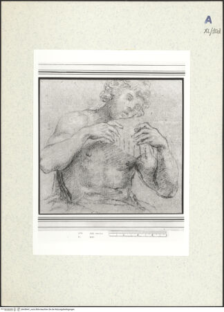 Vorderseite von bh438441_recto