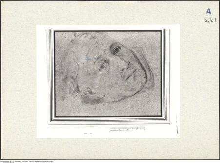 Vorderseite von bh438445_recto