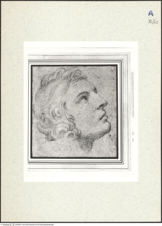 Vorderseite von bh438447_recto