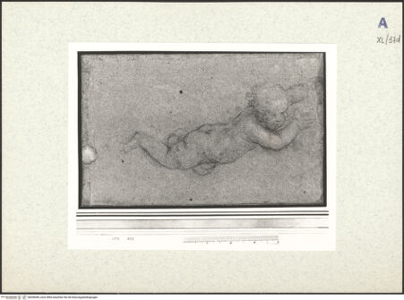 Vorderseite von bh438449_recto