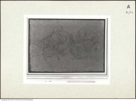 Vorderseite von bh438450_recto