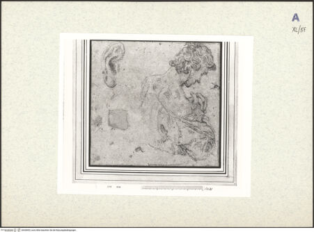 Vorderseite von bh438452_recto