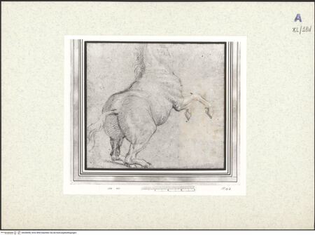 Vorderseite von bh438458_recto