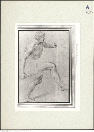 Vorderseite von bh438460_recto