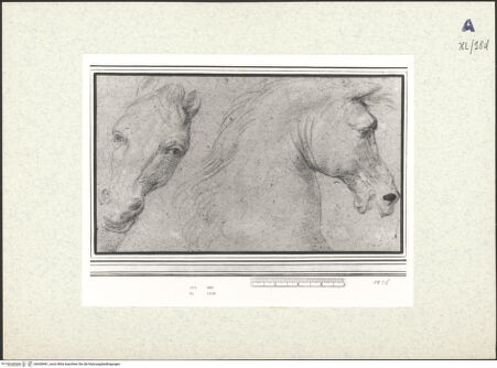 Vorderseite von bh438461_recto