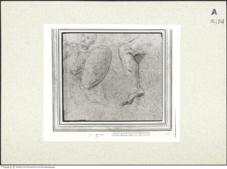 Vorderseite von bh438462_recto