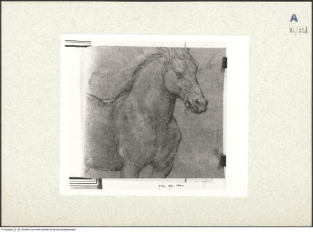 Vorderseite von bh438463_recto