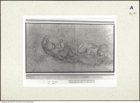 Vorderseite von bh438469_recto