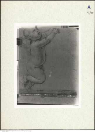 Vorderseite von bh438470_recto