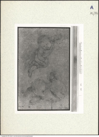 Vorderseite von bh438471_recto