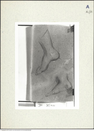 Vorderseite von bh438474_recto