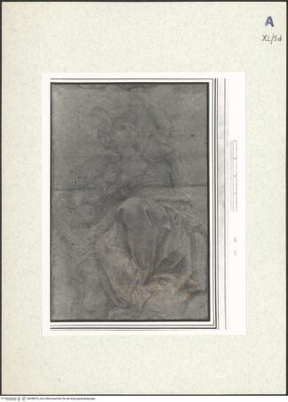 Vorderseite von bh438479_recto