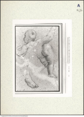 Vorderseite von bh438482_recto