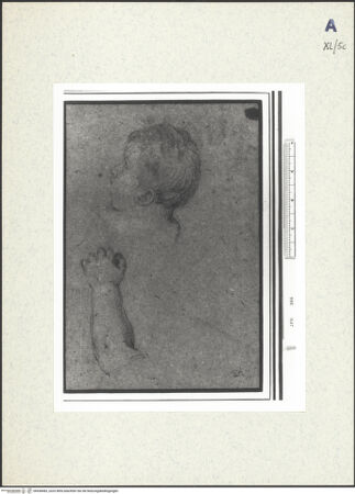 Vorderseite von bh438483_recto