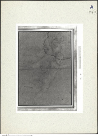 Vorderseite von bh438489_recto