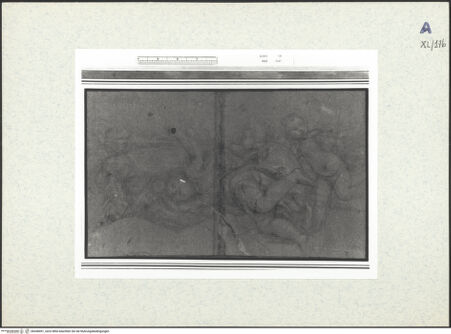 Vorderseite von bh438491_recto