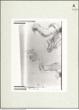 Vorderseite von bh438493_recto