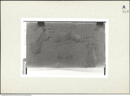 Vorderseite von bh438497_recto