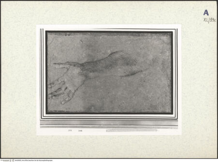 Vorderseite von bh438500_recto