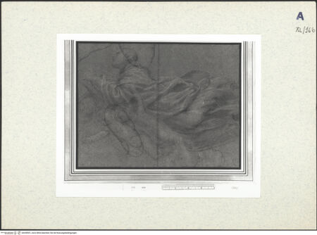 Vorderseite von bh438501_recto