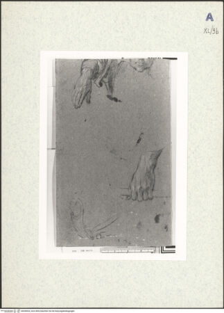 Vorderseite von bh438504_recto