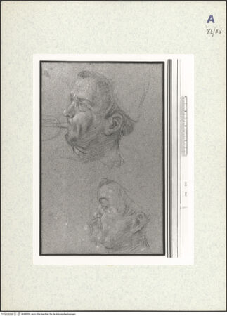 Vorderseite von bh438508_recto