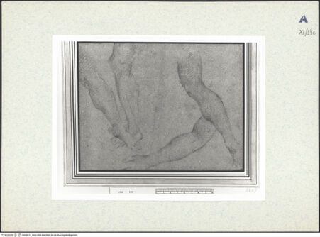 Vorderseite von bh438514_recto