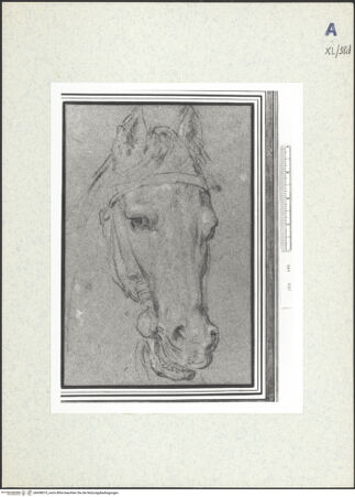 Vorderseite von bh438515_recto