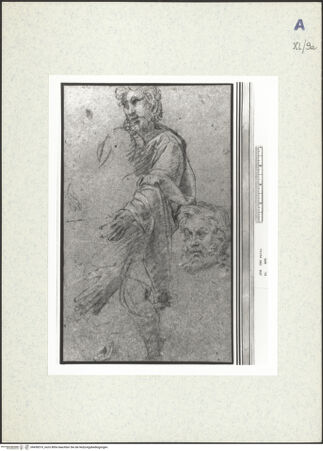 Vorderseite von bh438519_recto