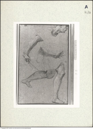 Vorderseite von bh438522_recto