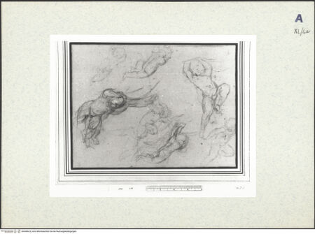 Vorderseite von bh438523_recto